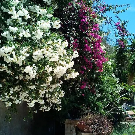 B&B Villa Maria * Lipari (Isola Lipari)